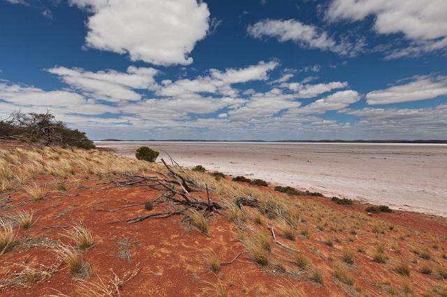 200 Lake Gairdner.jpg